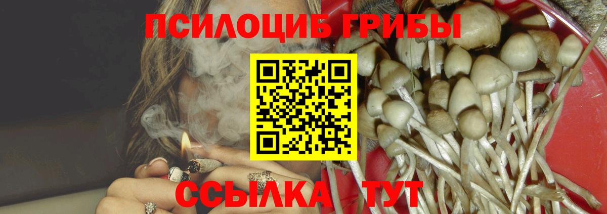 Нарткала  где найти наркотики  Вход с VPN  Псилоцибиновые грибы GOLDEN TEACHER 